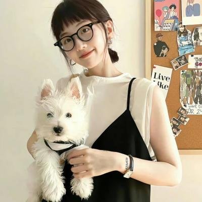 敌后便衣队传奇